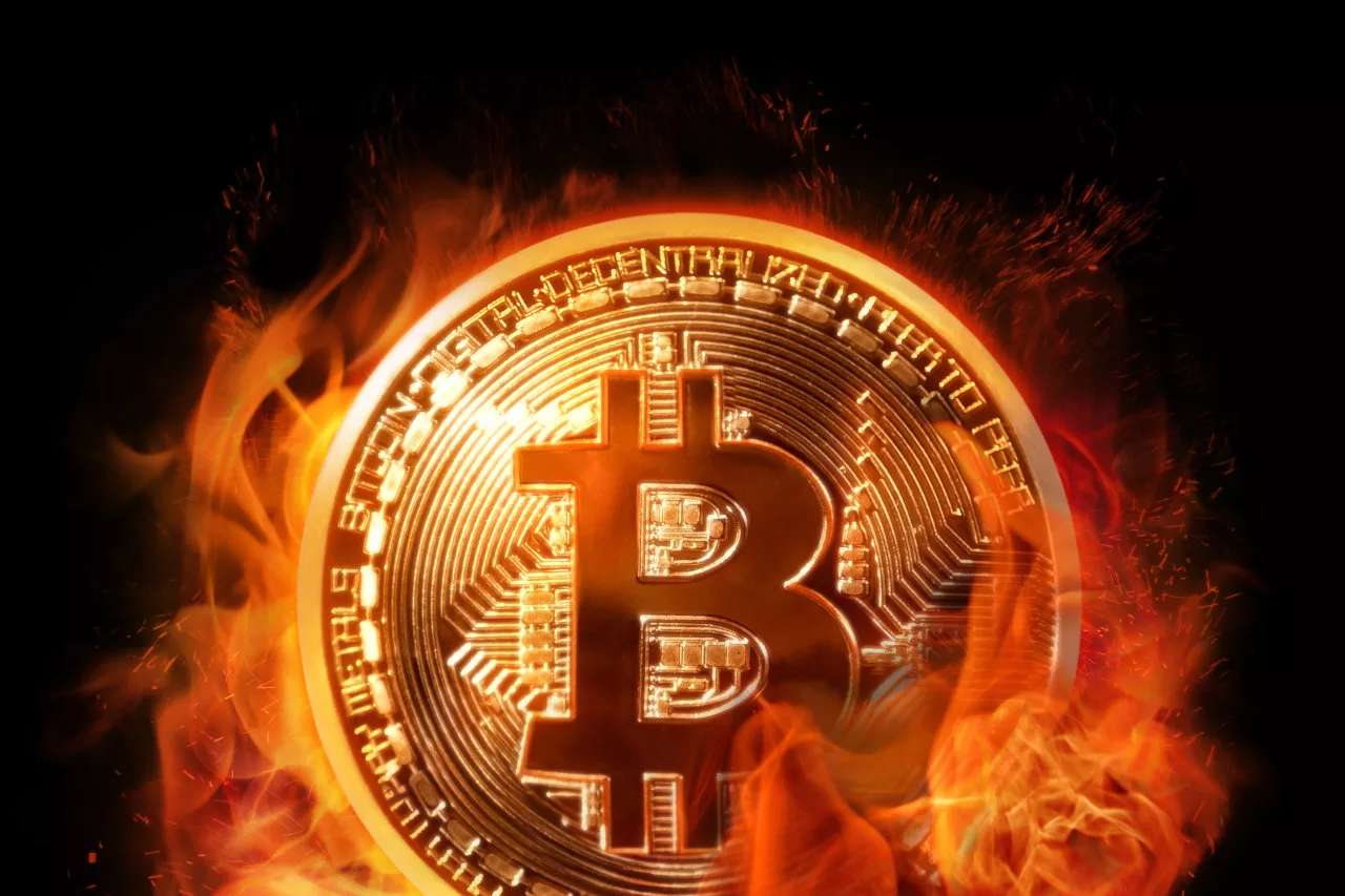 Crypto price crash